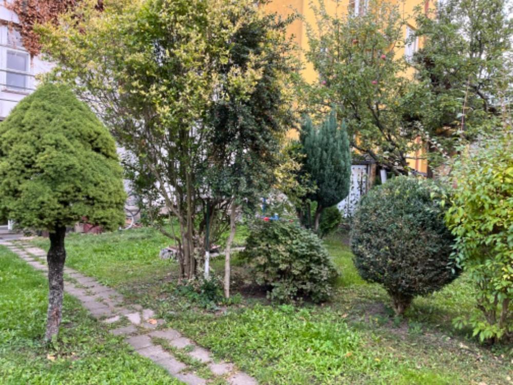 Tennis Life Шумперк Екстер'єр фото